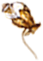 monkey3