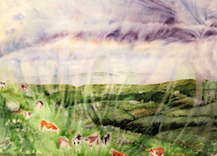 Doolin with Cows and the Aran Island